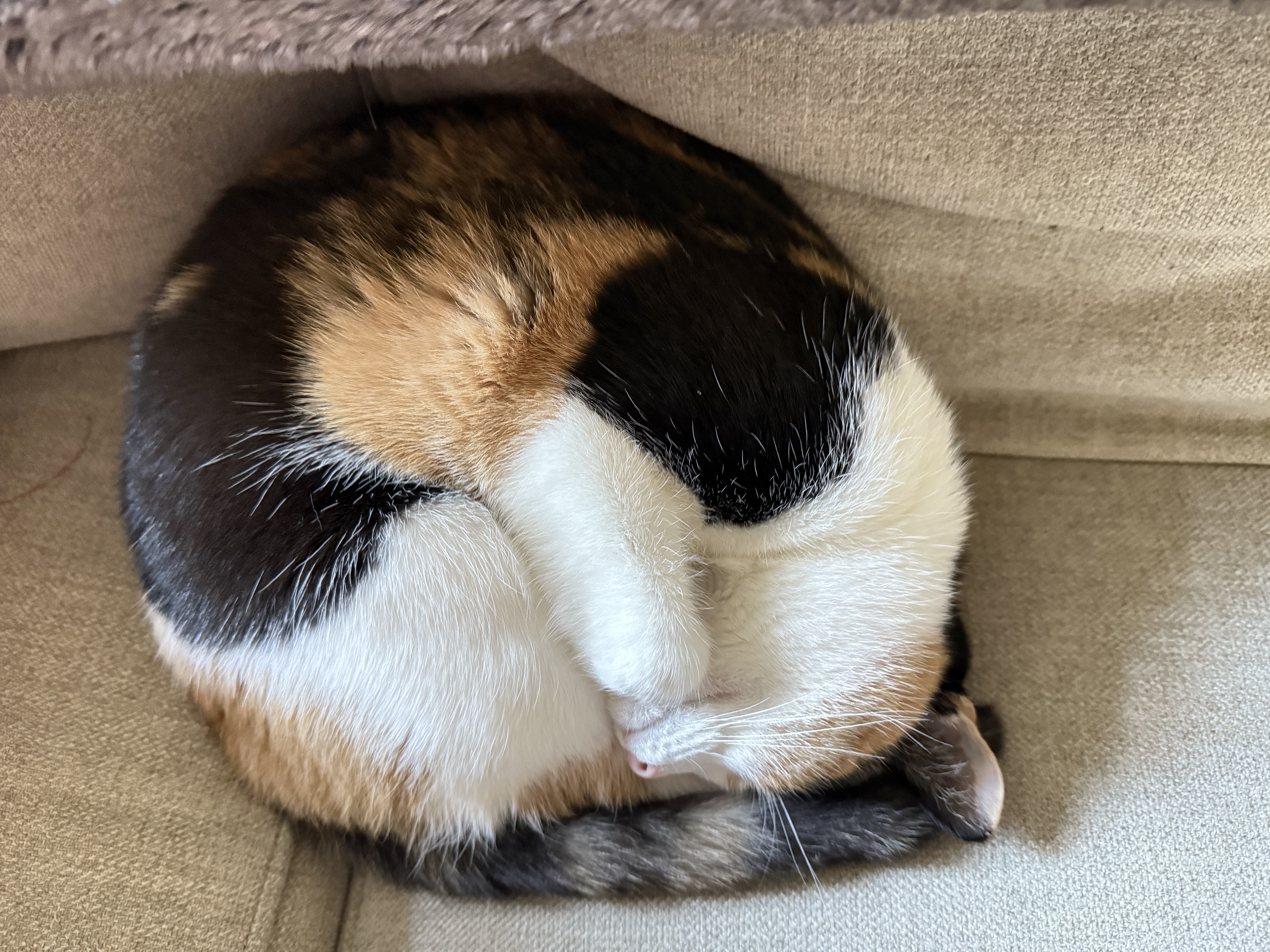 user-provided image