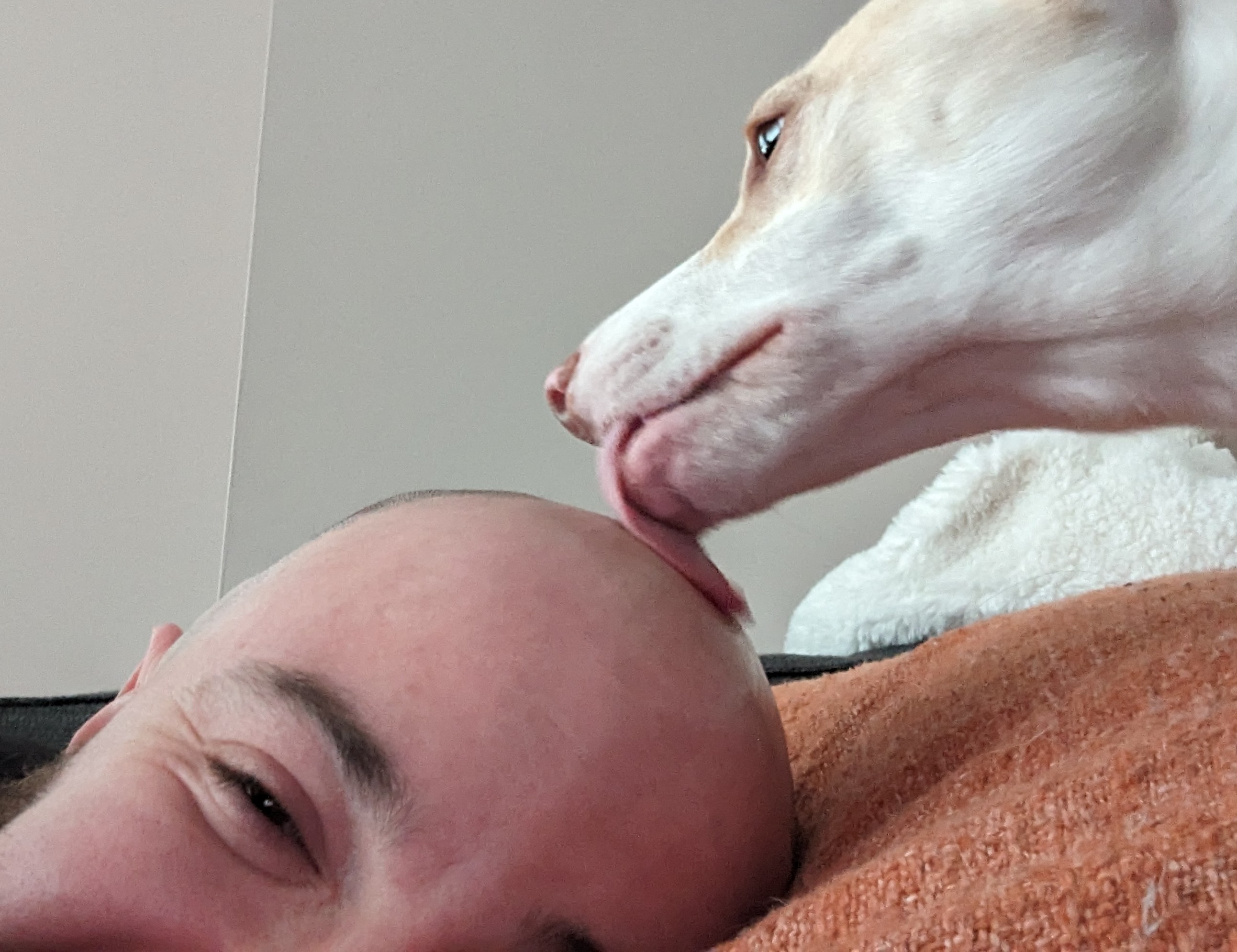 user-provided image