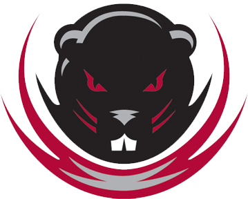 user-provided image