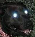user-provided image