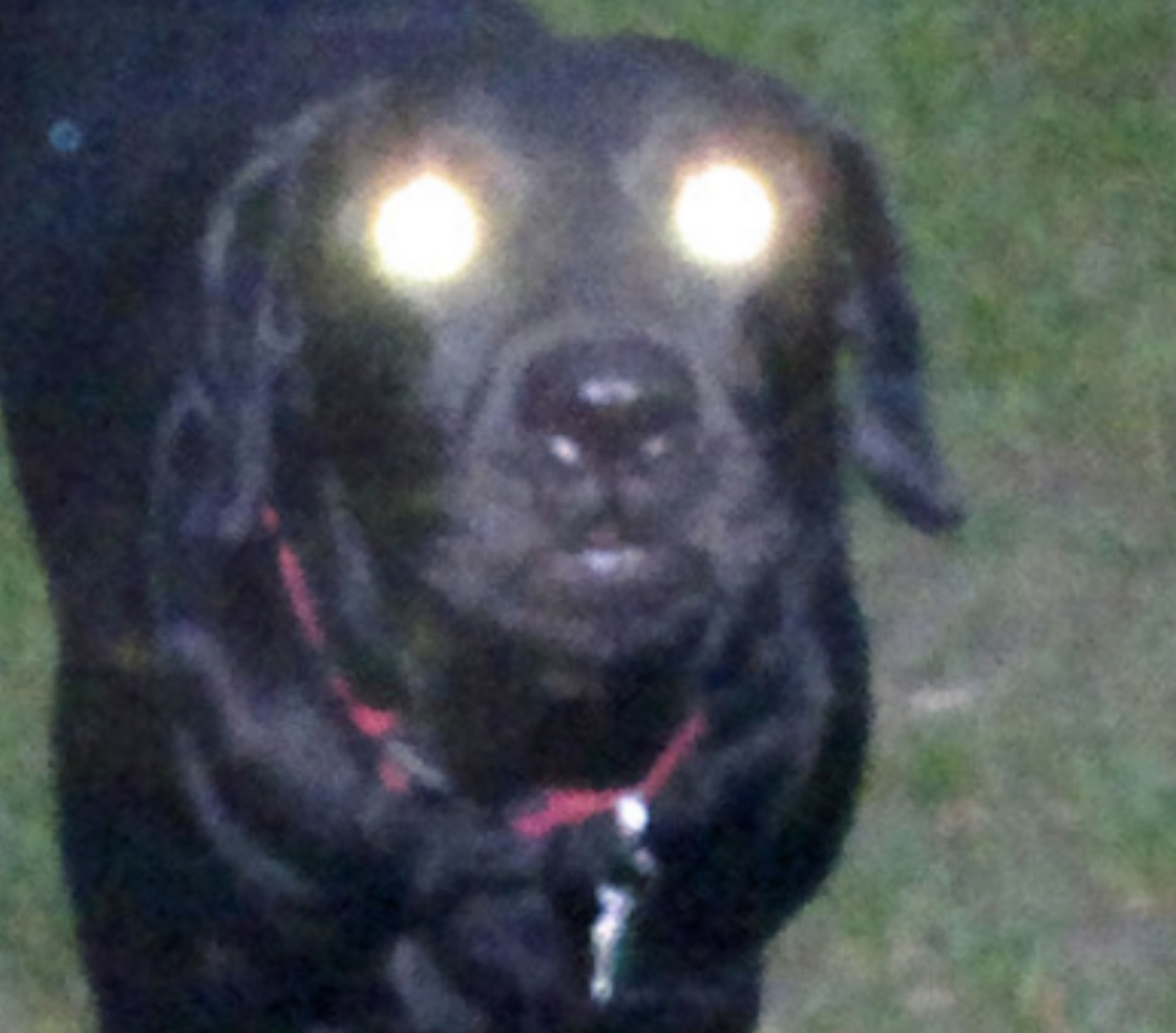 user-provided image
