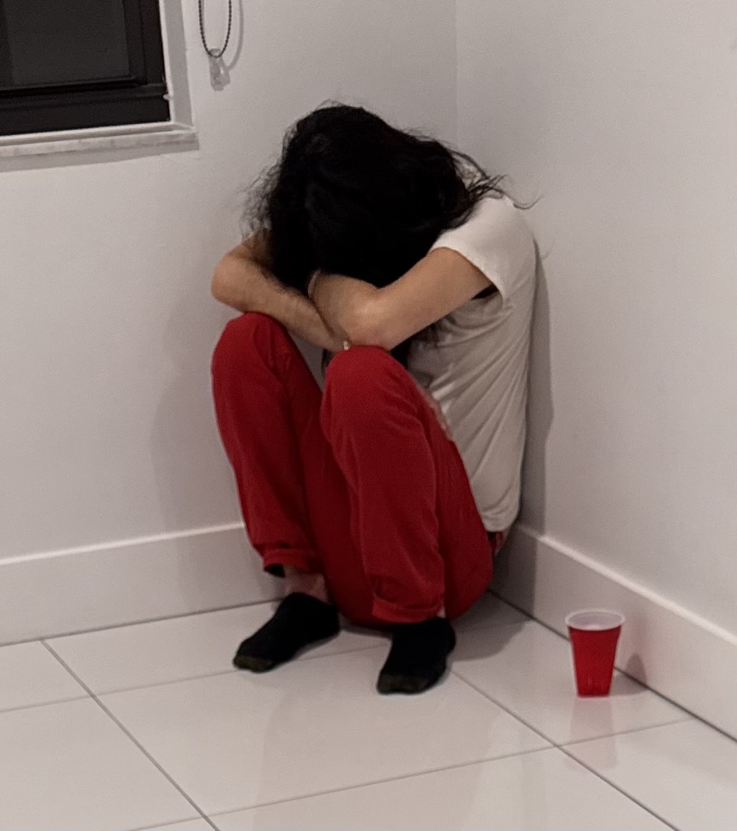 user-provided image