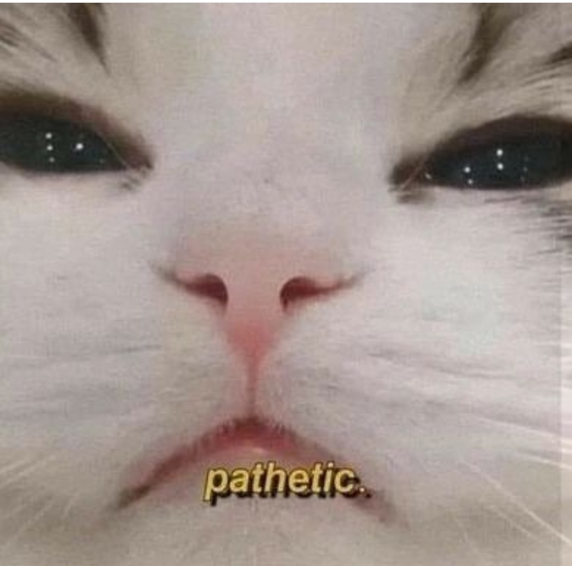 user-provided image