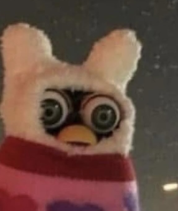 user-provided image