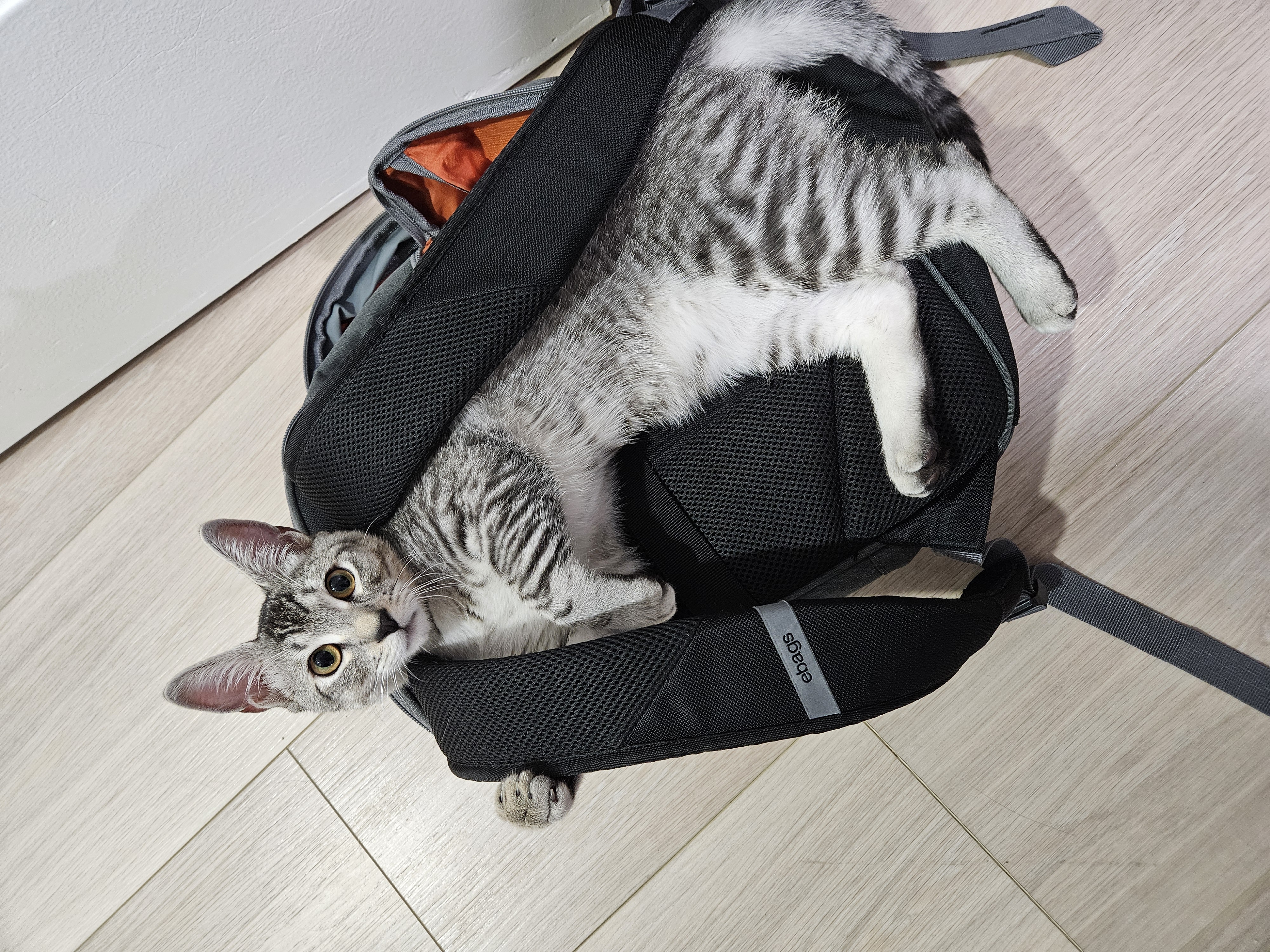 user-provided image
