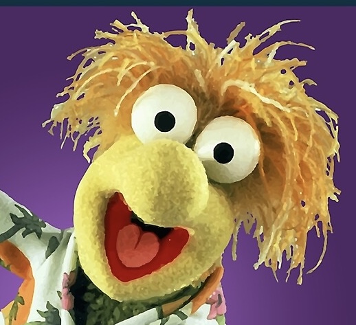 user-provided image